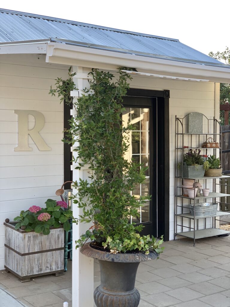 White She shed With Black Doors