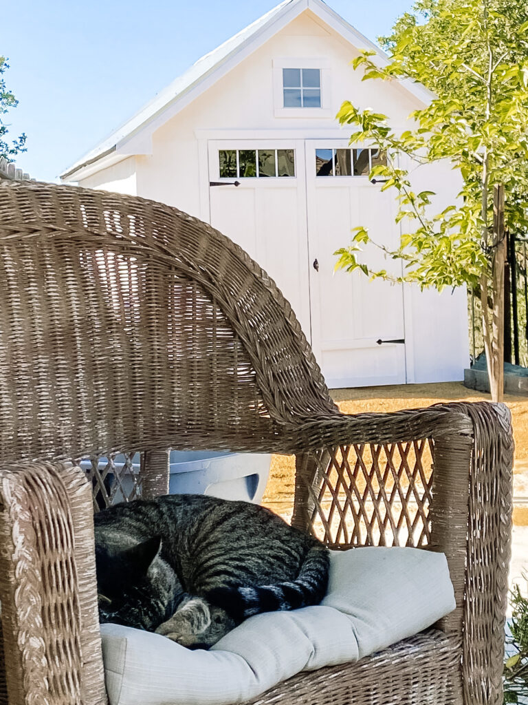 Small outdoor shed with a kitty sleeping in a chair