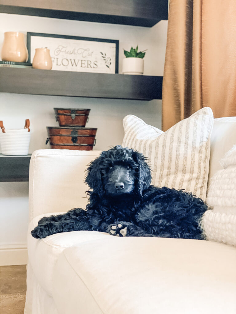 floating shelves next to fireplace styling with a white couch and a cute black Goldendoodle puppy modeling.