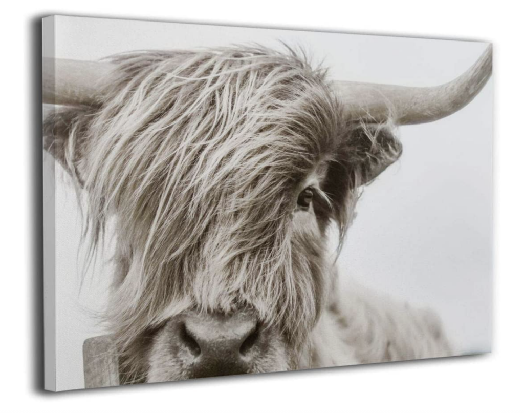 Hootshack - Best Neutral Cow Prints On Amazon - Hootshack