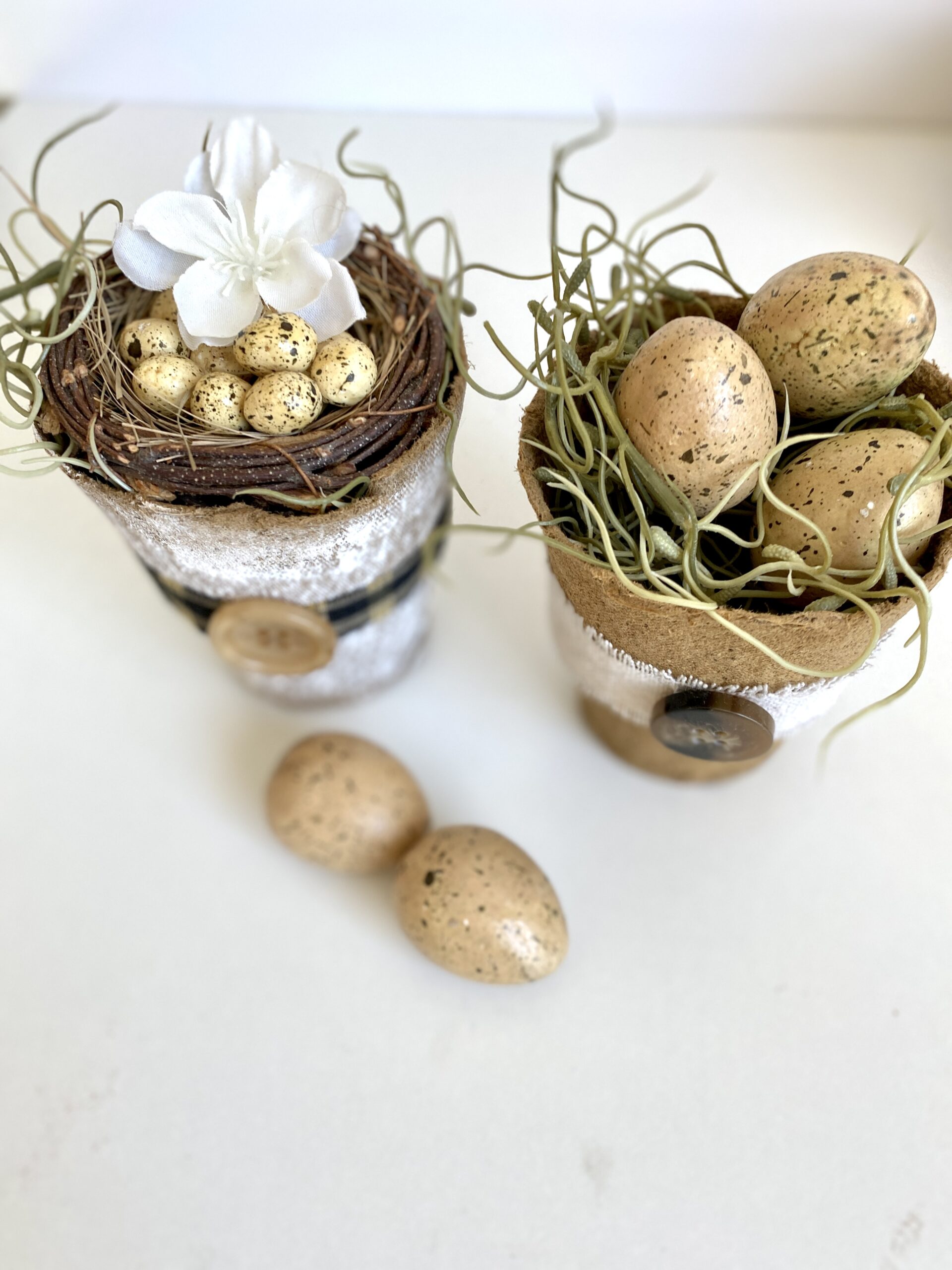 DIY Mini Flower Pots With Eggs