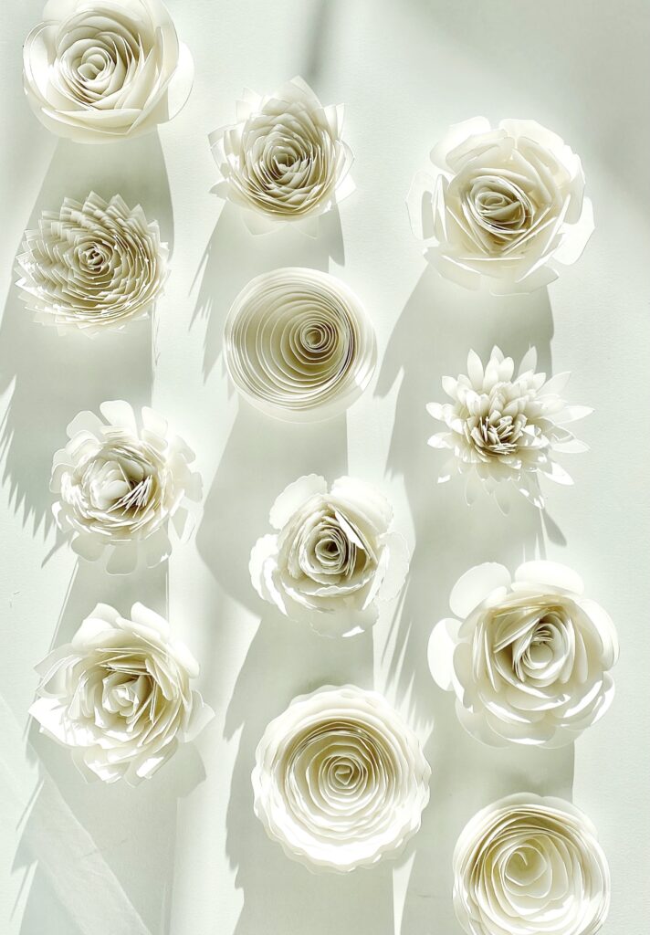 How to Make Cricut Paper Flowers  Cricut Paper Crafts : My Crazy