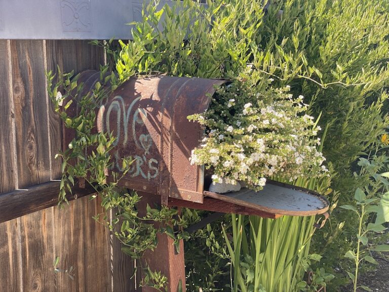repurposed old mailboxes with flowers