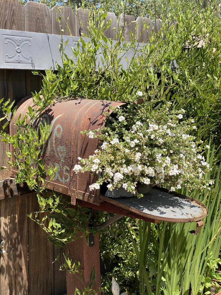 using an old mailbox as a planter
