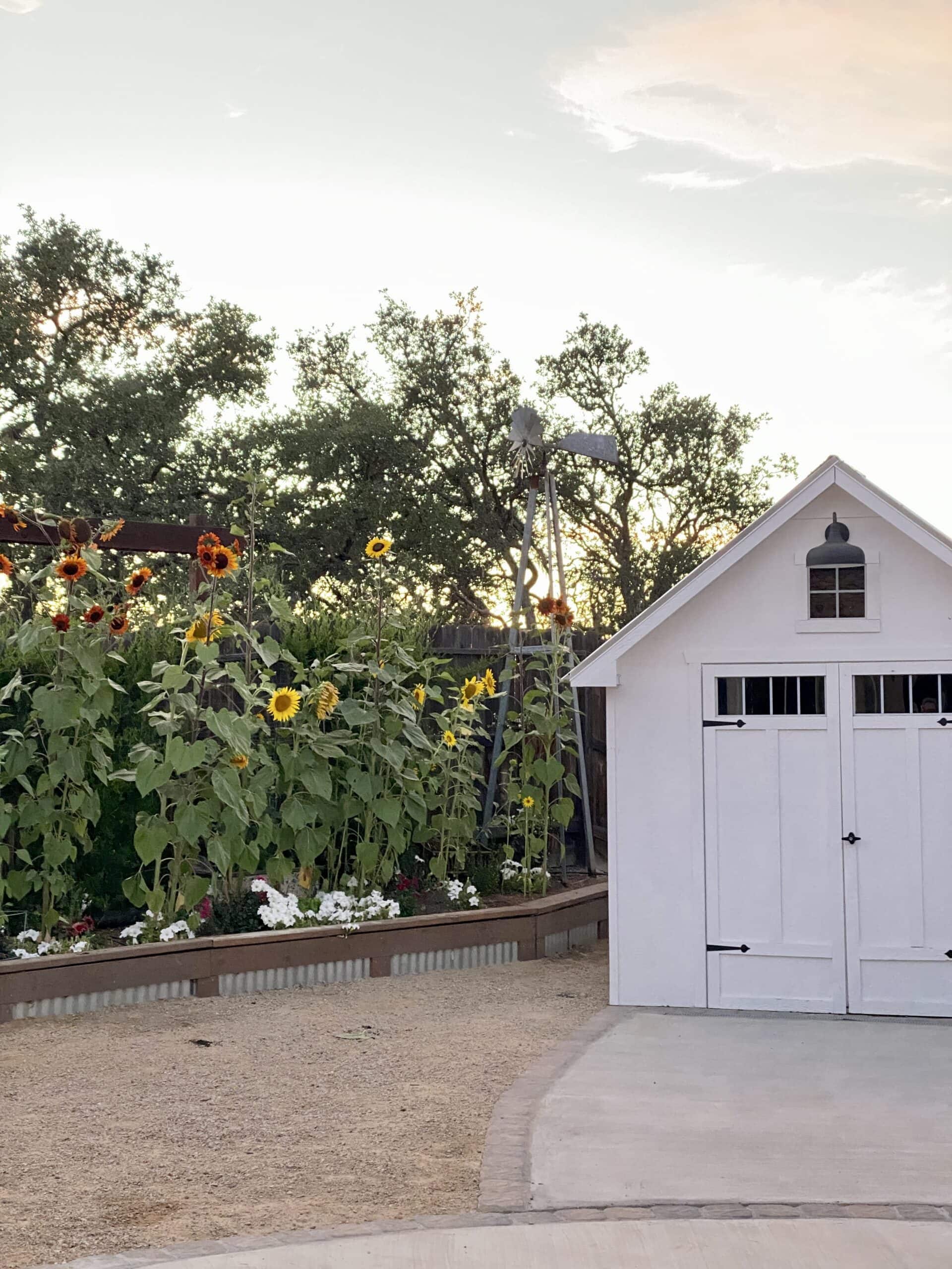 How Much Does A She Shed Cost DIY vs. Kit (We've built 2!)