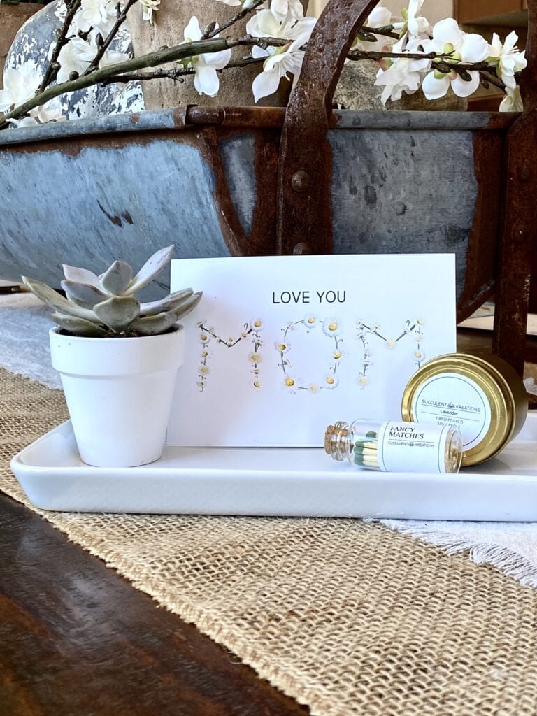 Succulent Kits with matches and a candle