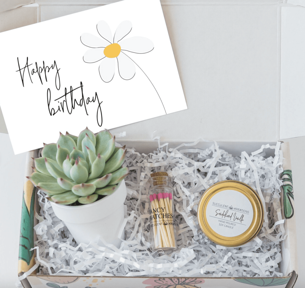 Succulent Kit in a gift box